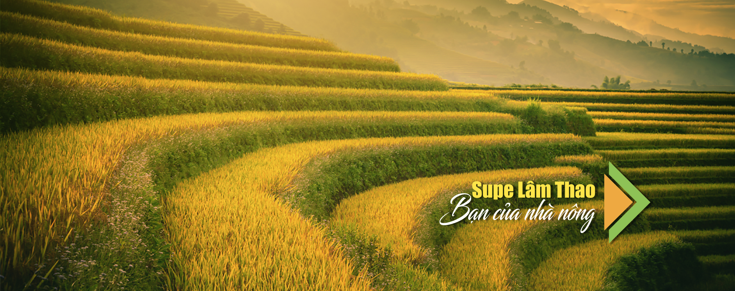 Trang chủ SupeLamThao